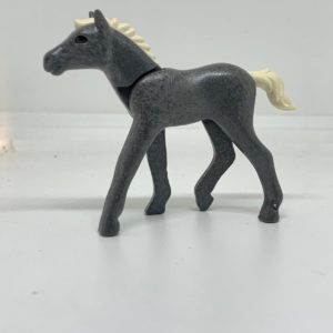 Animal012
